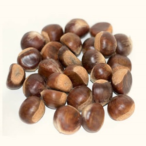 Chestnut